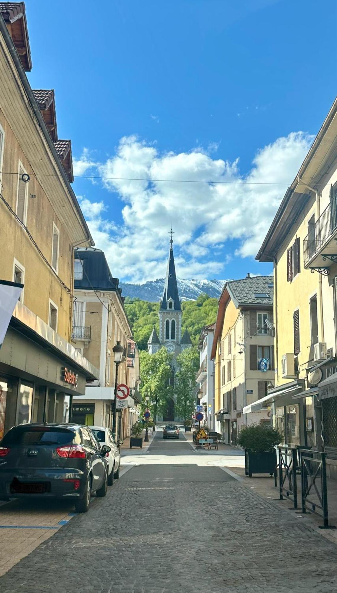 Le Refuge T3 Centre Ville 63M2 Pied Des Montagnes Альбервиль Экстерьер фото